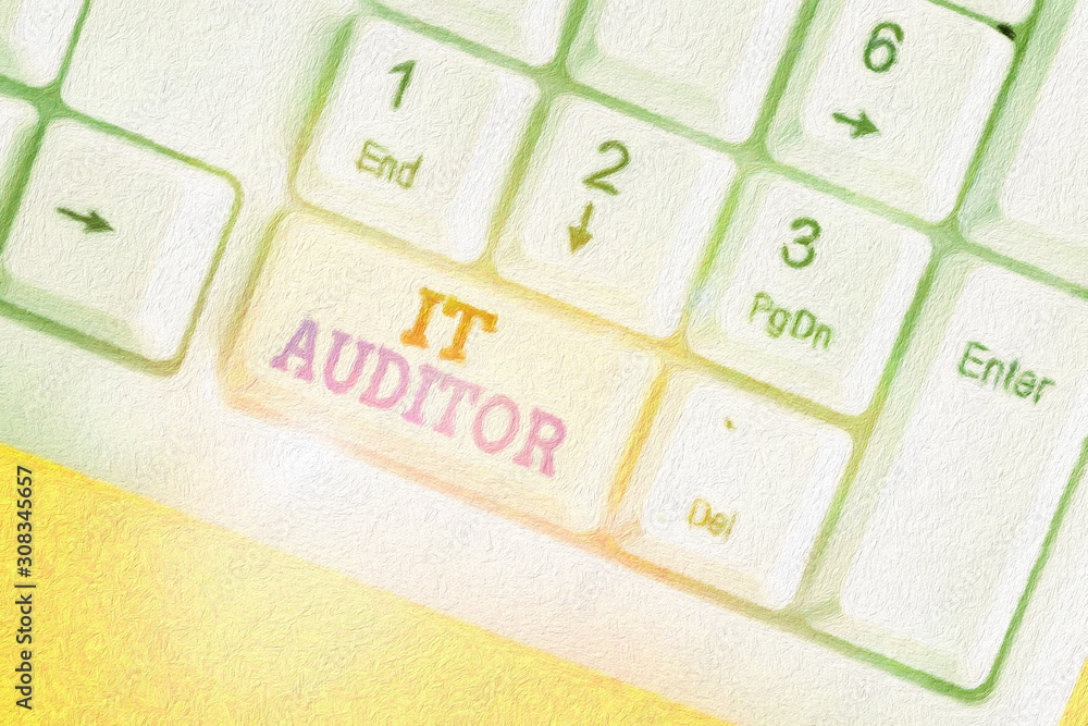 Poster conceptual hand writing showing it auditor. concept meaning demonstrating authorized to review and v