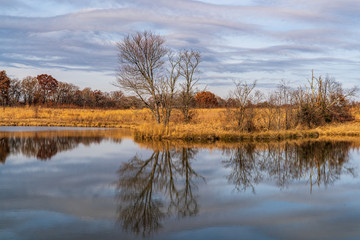lake in autumn