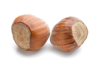 Tasty hazelnuts on white background