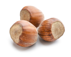 Tasty hazelnuts on white background