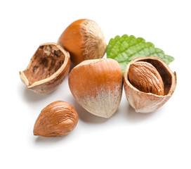 Tasty hazelnuts on white background