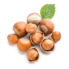 Tasty hazelnuts on white background