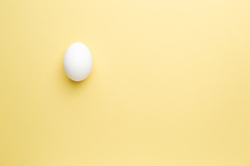 Fresh raw egg on color background