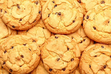 Many tasty cookies with chocolate chips as background