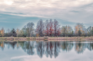 Fototapeta premium Reflections