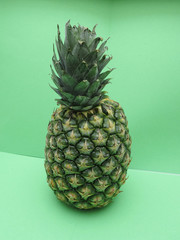 pineapple (Ananas comosus) fruit food