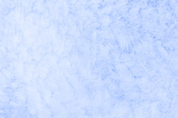 cream background 