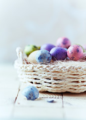 Fototapeta na wymiar Colorful quail egg in a basket; easter decoration