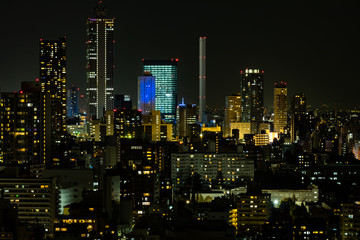 Fototapeta na wymiar Tokyo Ikebukuro area nightview