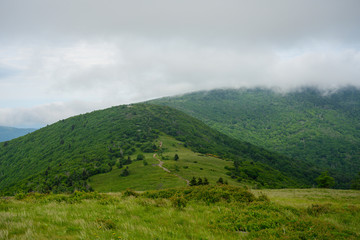 Obraz premium Appalachian Trail Climbs Jane Bald with fog rolling in over the mountain