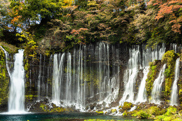 Fototapeta na wymiar Shiraito waterfalls