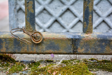 Rusty cast iron rod, old weathered concrete surface covered with green moss