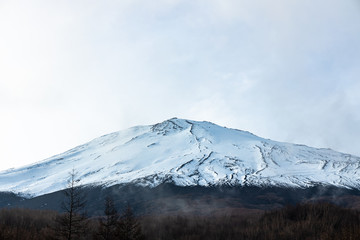 Mt. Fuji and hill