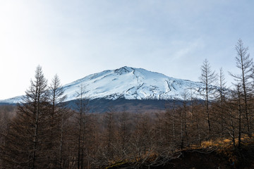 Mt. Fuji and hill
