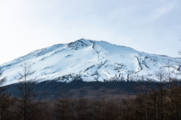 Fototapeta premium Mt. Fuji and hill