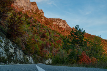 Naklejka na ściany i meble Asphalt mountain road among the yellow autumn trees and high rocks