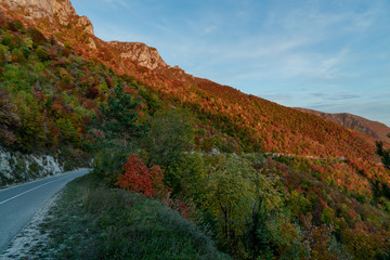 Asphalt mountain road among the yellow autumn trees and high rocks