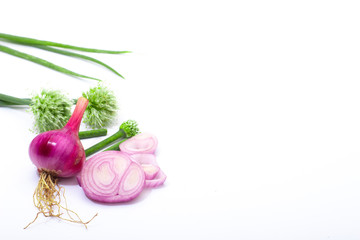 Fresh onions and onion leaf ,onion  flower isolated on a white background