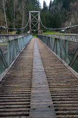 Tolt Suspension Bridge