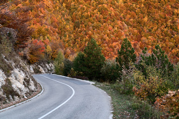 Fototapeta premium Asphalt mountain road among the yellow autumn trees and high rocks