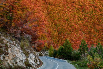 Naklejka premium Asphalt mountain road among the yellow autumn trees and high rocks
