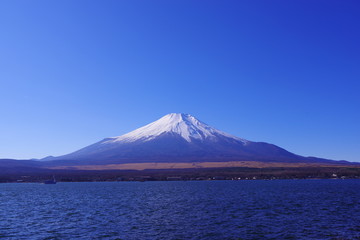 Fototapeta na wymiar 澄み切った青空と富士山と山中湖