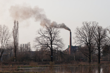 Carbon dioxide air pollution. Trees without leaves and smoke from factory pipe.
