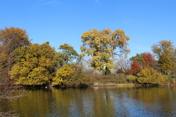 VARIOUS FALL TREES, ON WATER, WITH WATERFOWL AND WITH SKY