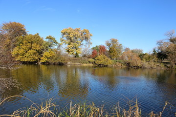 Fototapeta premium VARIOUS FALL TREES, ON WATER, WITH WATERFOWL AND WITH SKY