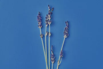 Blumenstrauß aus violetten Lavendelblüten, die auf dem Hintergrundkonzept des Tisches angeordnet sind. Trockenblumen-Blumenzusammensetzung isolierte Spa-Hautpflege. Klassisches blaues Pantone-Farbjahr 2020 Draufsicht flach liegend Mock-up-Kopienraum © raisondtre