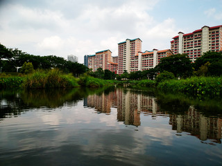 small river cutting through the neighborhood park