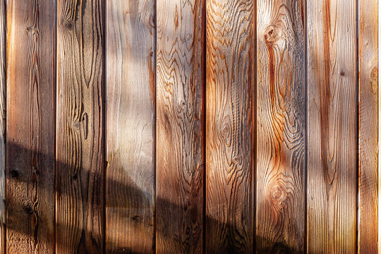 Early morning sunlight skims accross a textured wooden fence