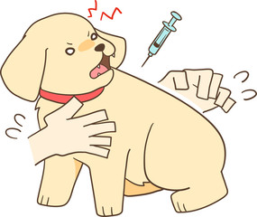 ゴールデンレトリバーの子犬（注射2）