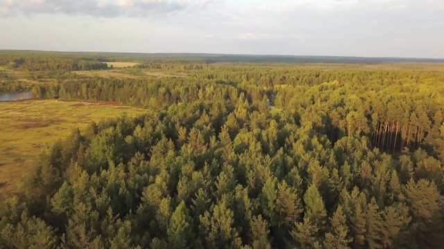 Aerial view of large green fields, forests and road at the sunset against blue cloudy sky in summer or in the beggining of the autumn. Stock footage. Beautiful countryside views