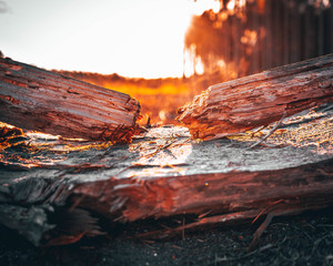 Split log