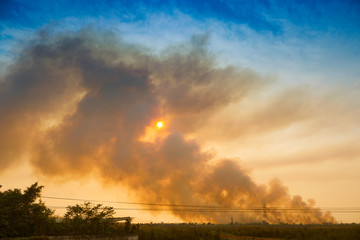 Industrial pollution , India