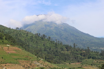 agriculture on the slopes of the mountains under the blue sky