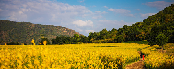 Traveler couple lover walking on the sun hemp field in beautiful nature at North Thailand background.Beautiful landscape for relex travel.