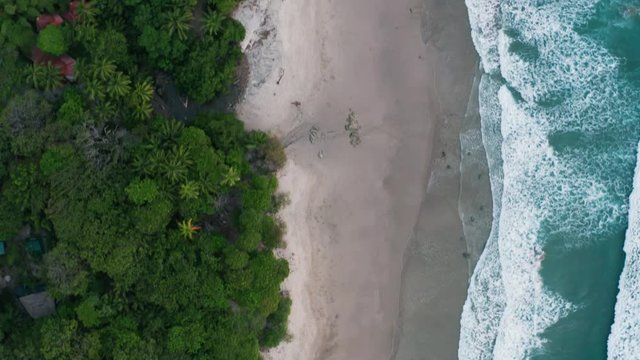 Beautiful 4K aerial drone shot of a tropical Pacific paradise beach at the seaside in Costa Rica with the ocean, sand and jungle seen from above in bird perspective.