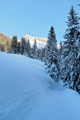 Fototapeta na wymiar Winter Snowy Road at the Pine Forest or Spruce Woods at the Mountains with Snow