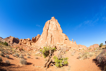 Fototapeta premium Arches National Park