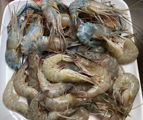 shrimps on white plate