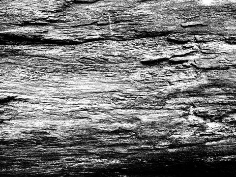 old wood background