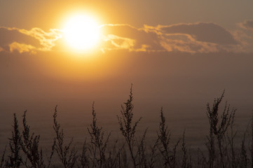 Fototapeta premium 豊かな大地を照らす朝陽。草原の朝の風景。