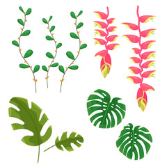 Beautiful jungle leaves and flowers