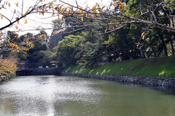 滋賀県彦根市 彦根城のお堀