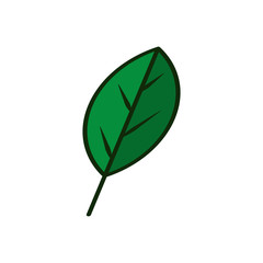 leaf icon in trendy flat design