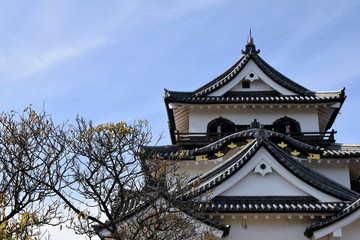 Fototapeta na wymiar 日本 滋賀県 彦根城と青空