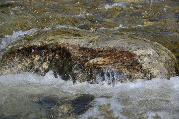 Pure water in the taiga stream far from civilization