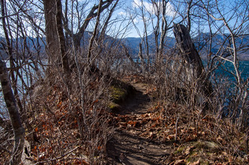 湖畔の散策路。冬の晴れた日の自然。